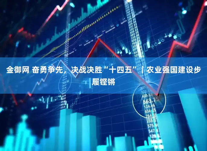 金御网 奋勇争先，决战决胜“十四五”｜农业强国建设步履铿锵