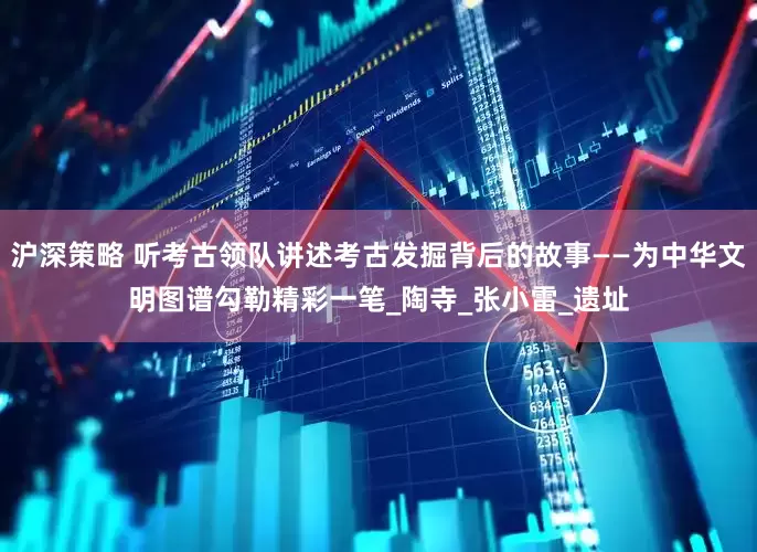 沪深策略 听考古领队讲述考古发掘背后的故事——为中华文明图谱勾勒精彩一笔_陶寺_张小雷_遗址